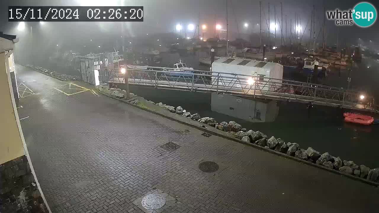 Fenit Marina camera en vivo