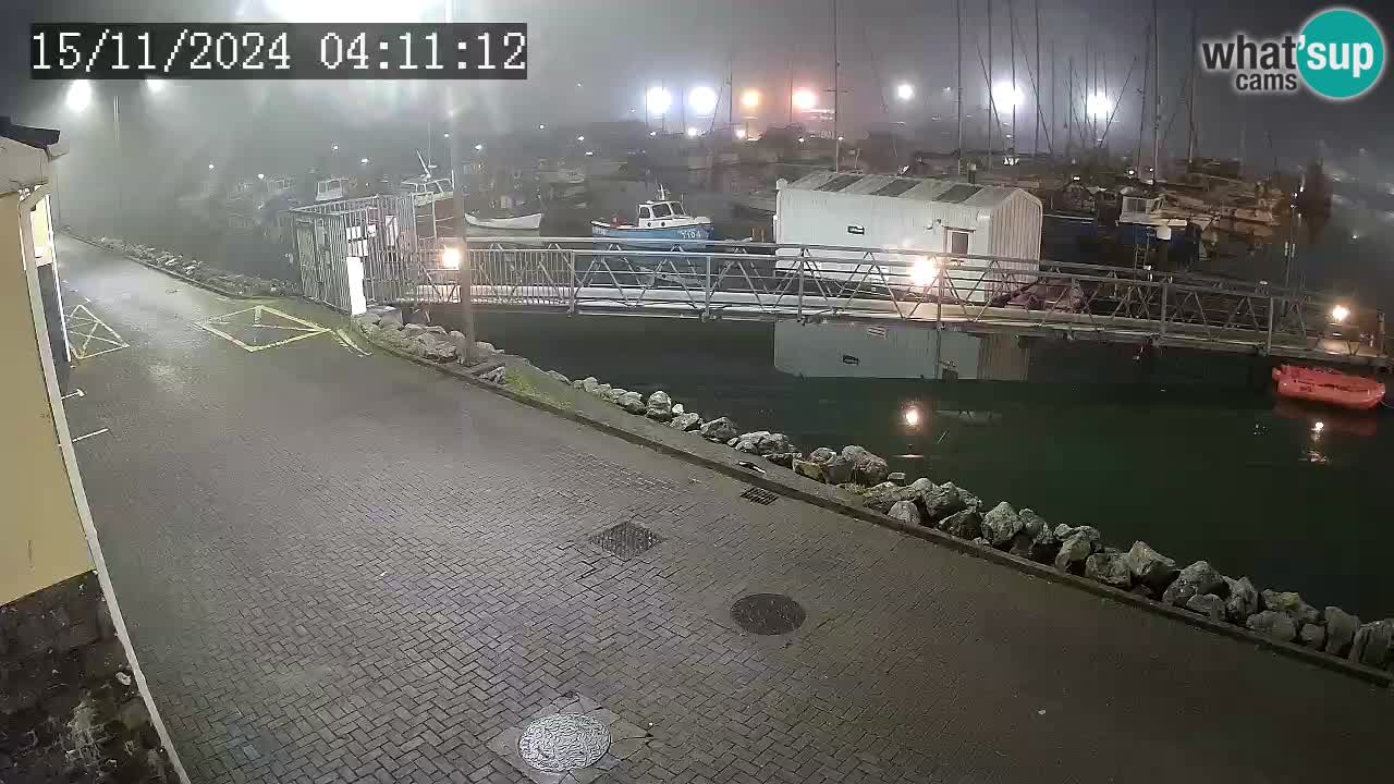 Fenit Marina webcam