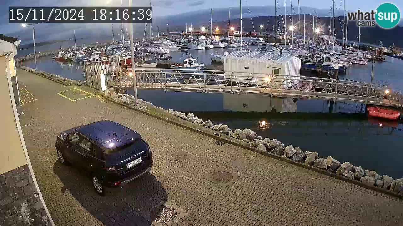 Fenit Marina webcam