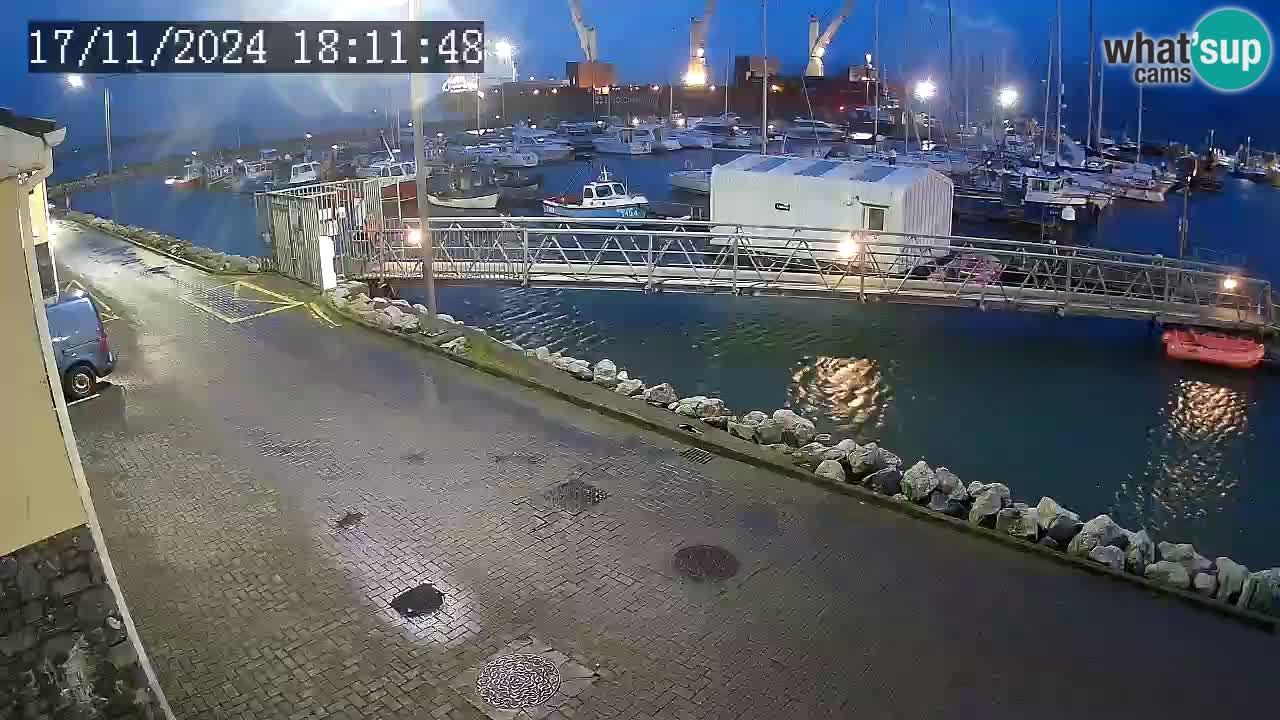 Fenit Marina livecam