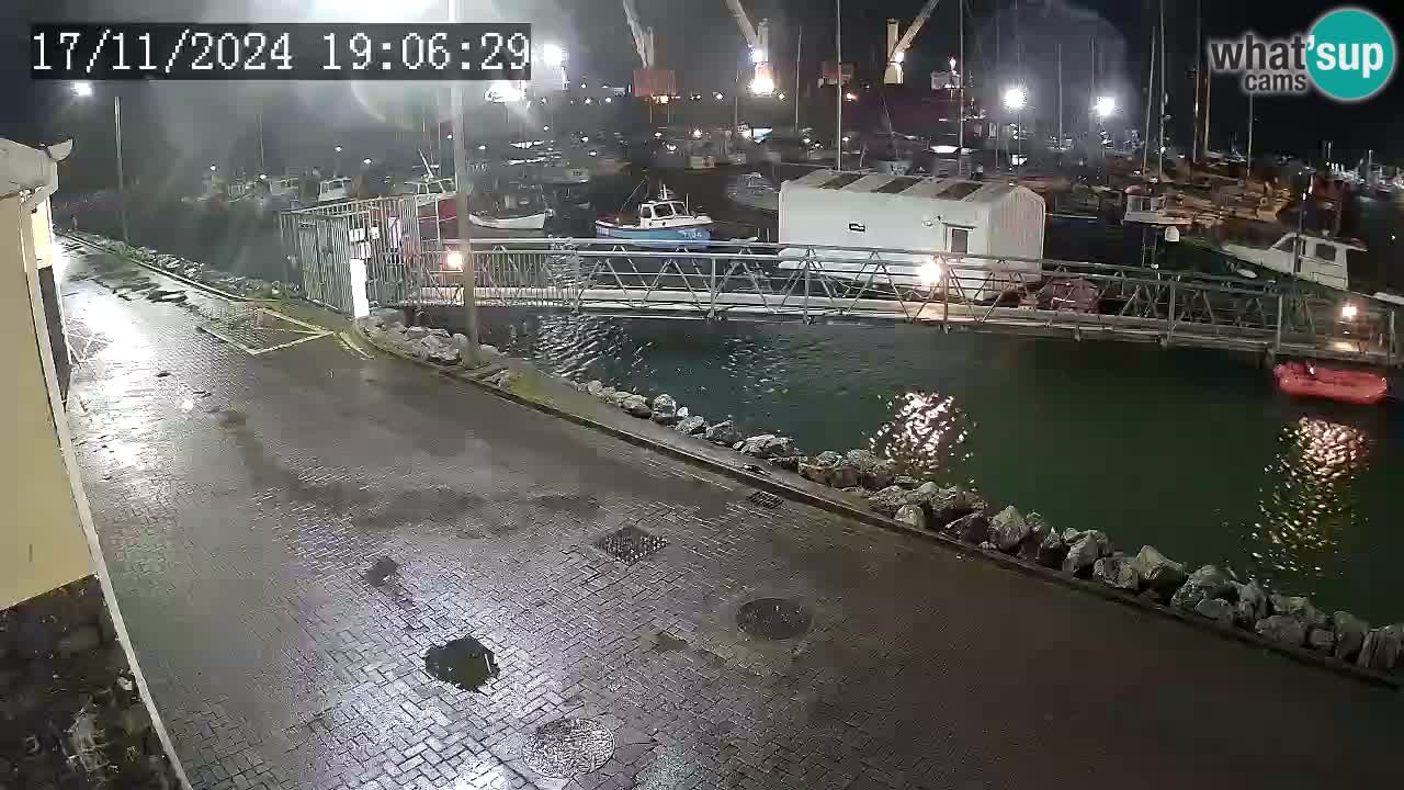 Fenit Marina livecam