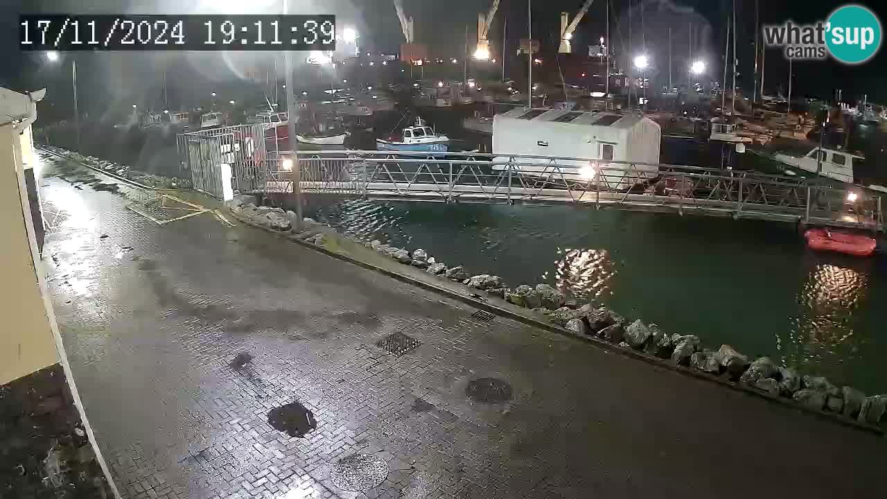 Fenit Marina webcam