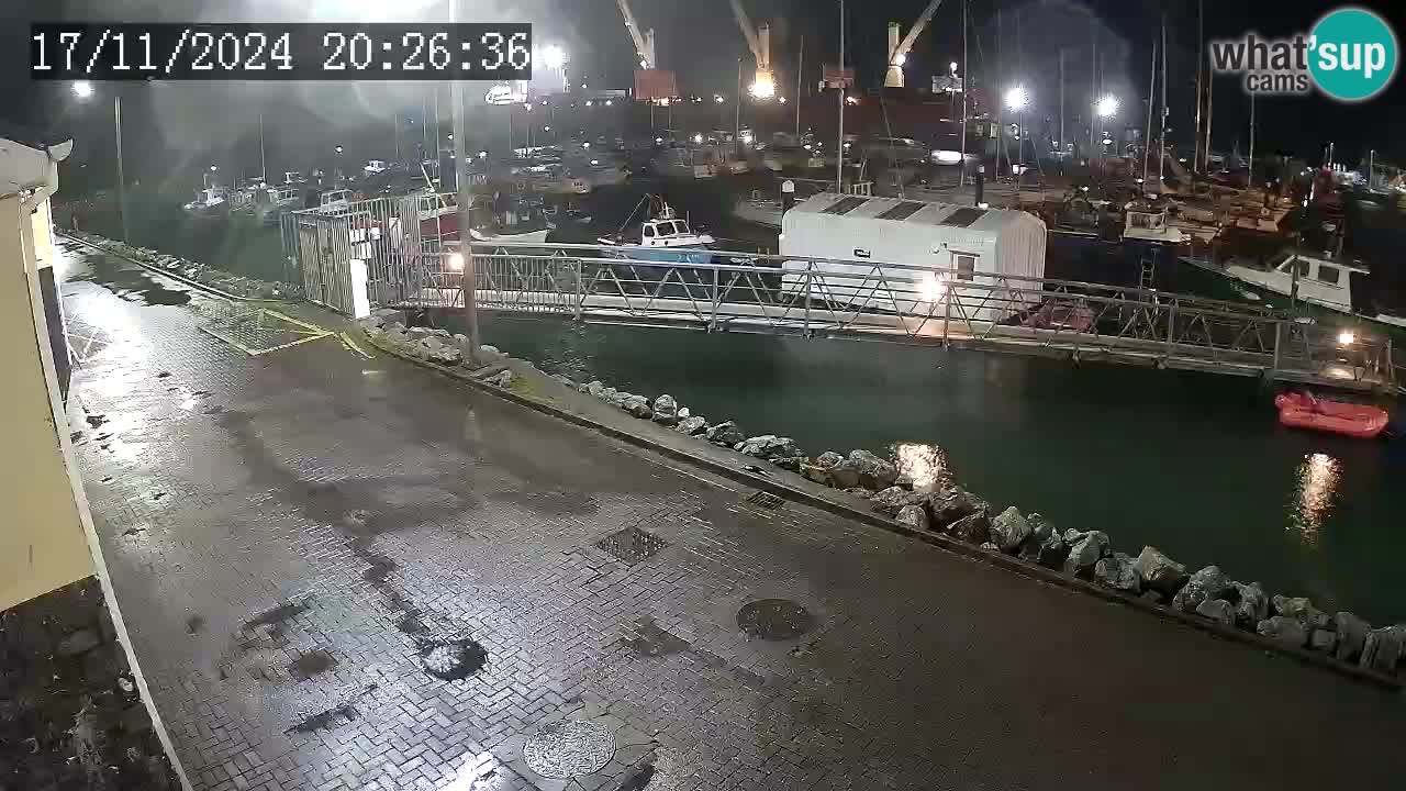 Fenit Marina livecam