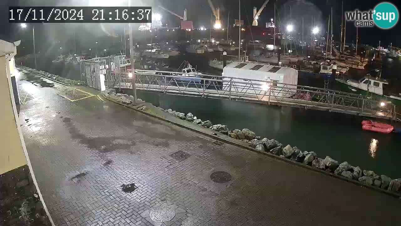 Fenit Marina live webcam