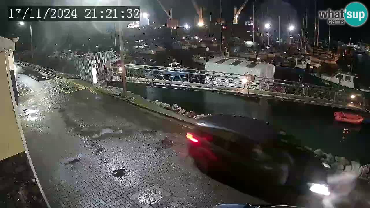 Fenit Marina live webcam