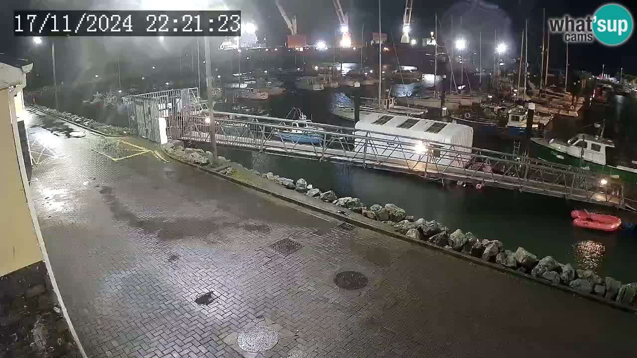 Fenit Marina spletna kamera