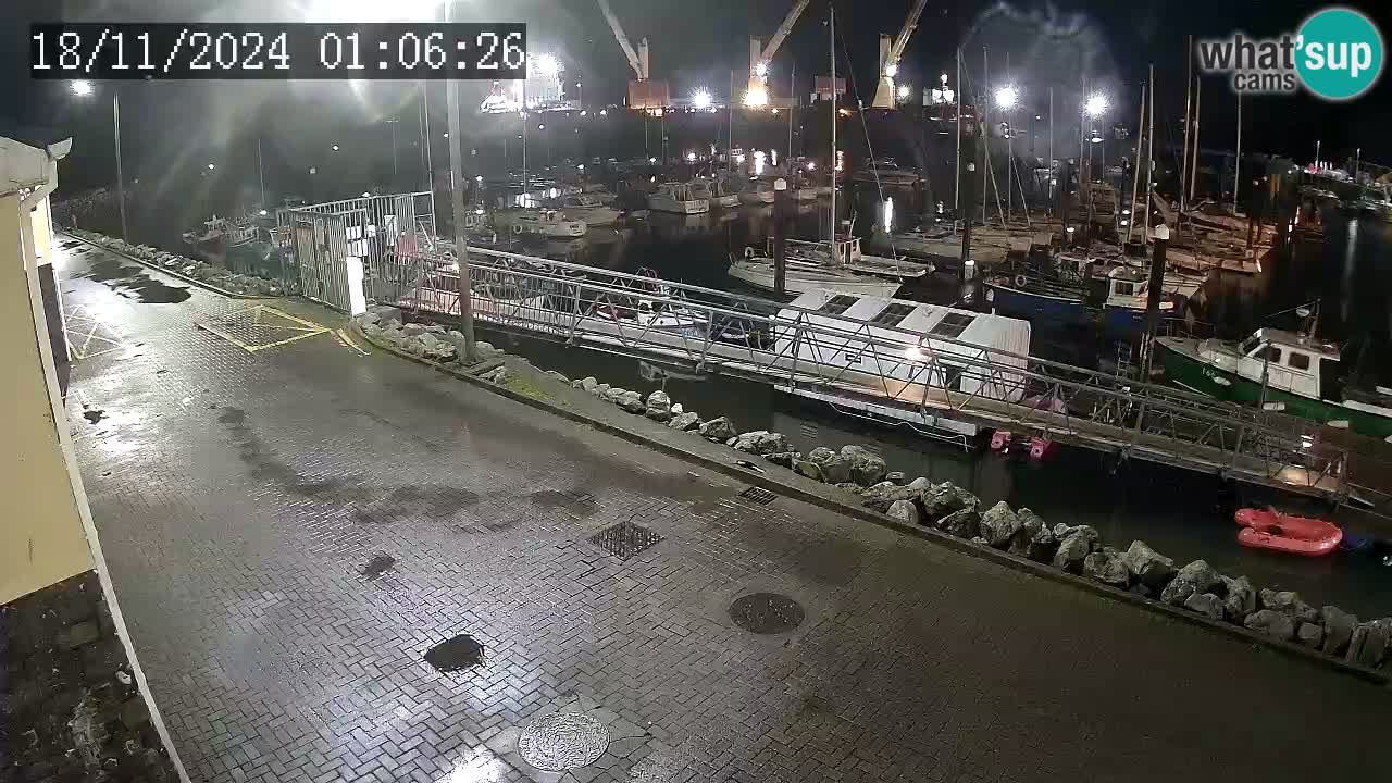 Fenit Marina live webcam