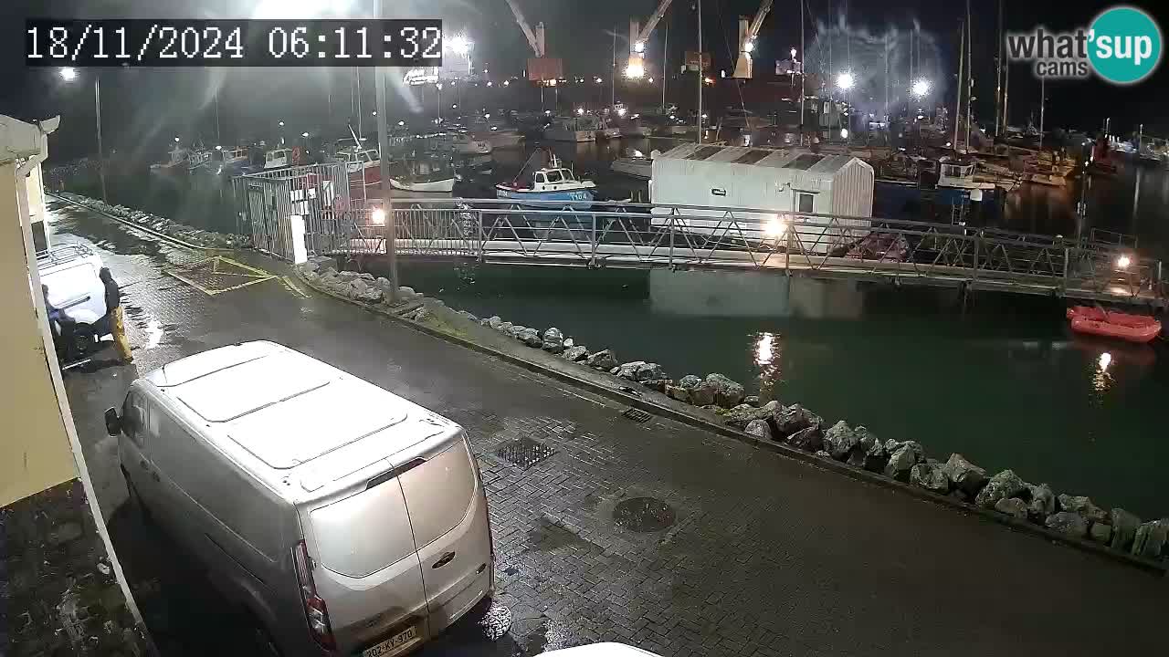 Fenit Marina live webcam