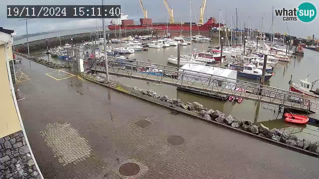 Fenit Marina spletna kamera