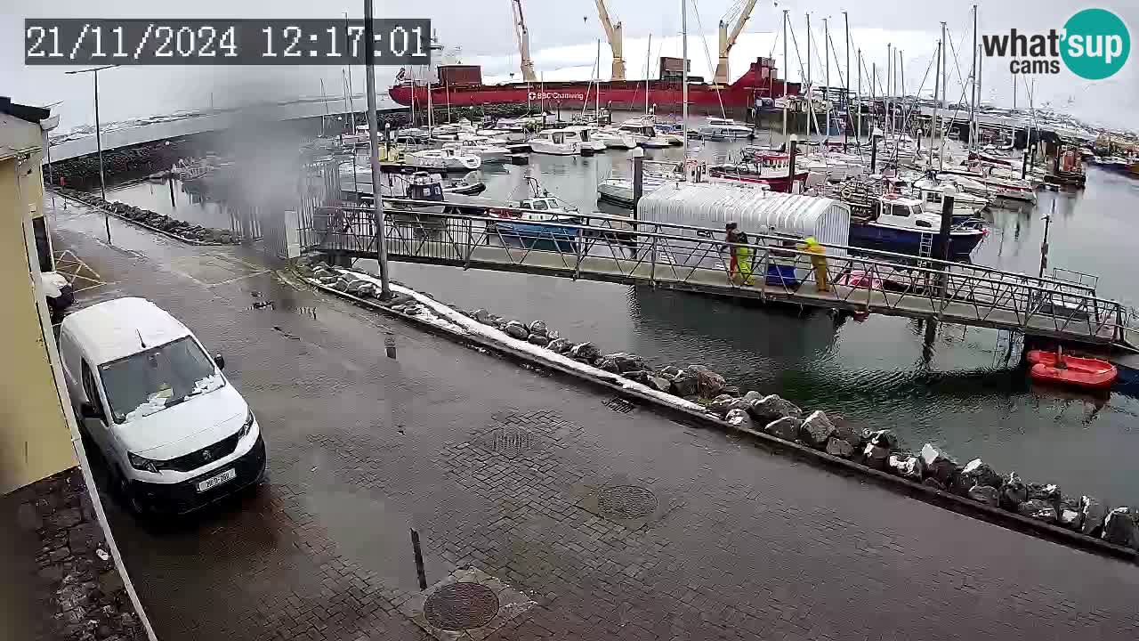 Fenit Marina webcam