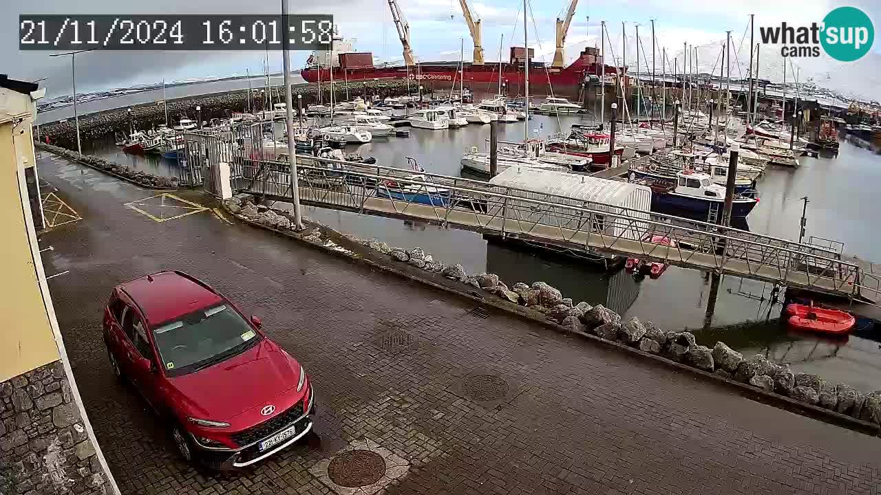 Fenit Marina webcam