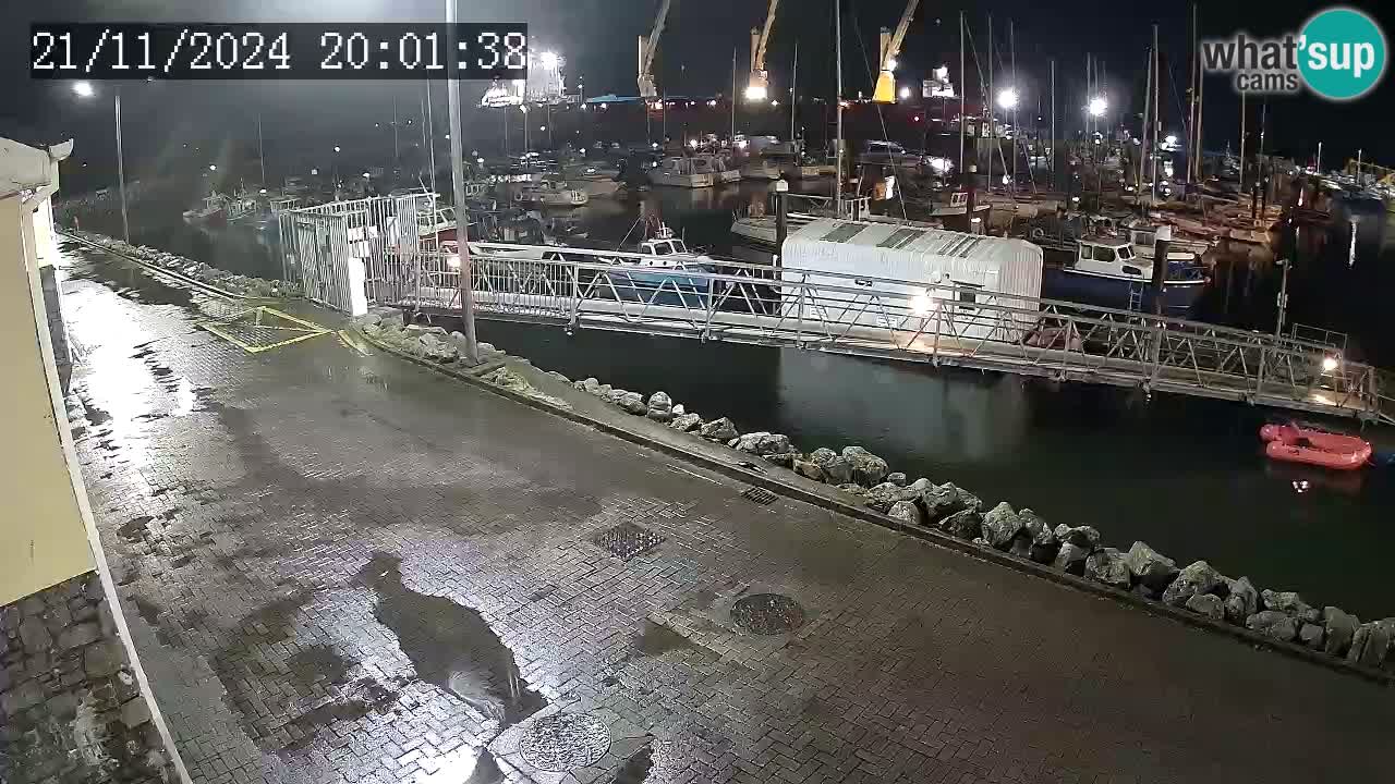 Fenit Marina webcam