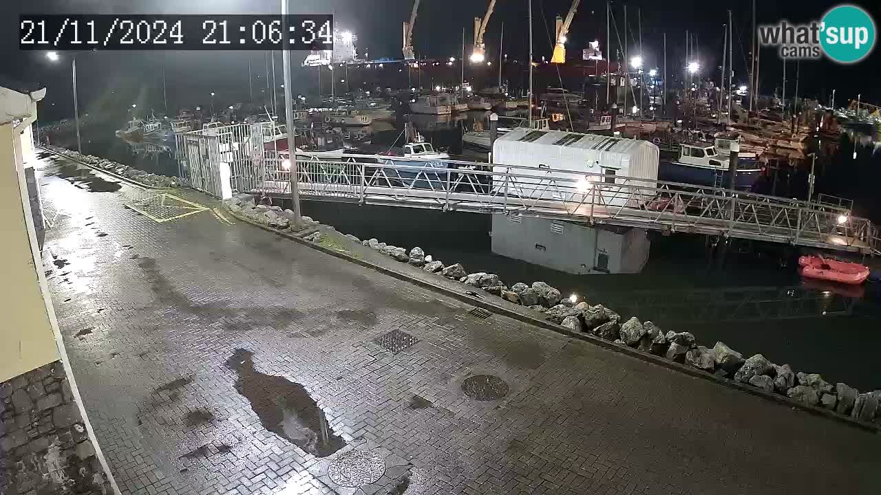 Fenit Marina webcam