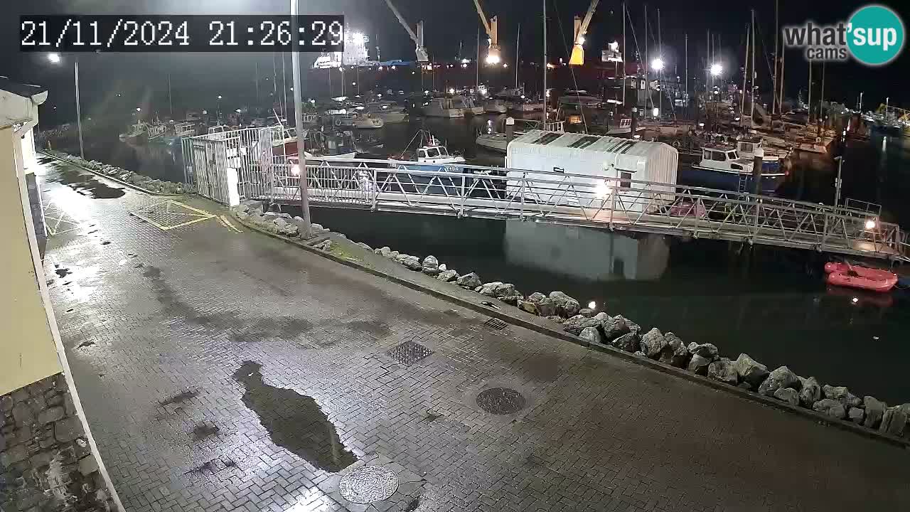 Fenit Marina camera en vivo