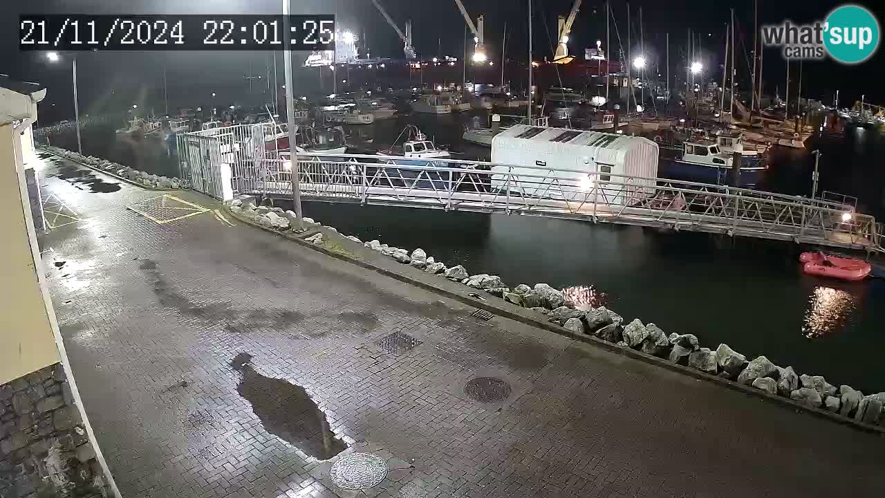 Fenit Marina webcam