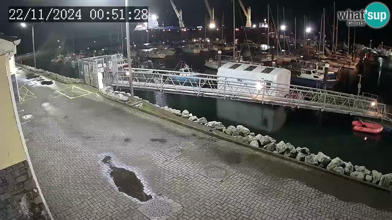 Fenit Marina camera en vivo