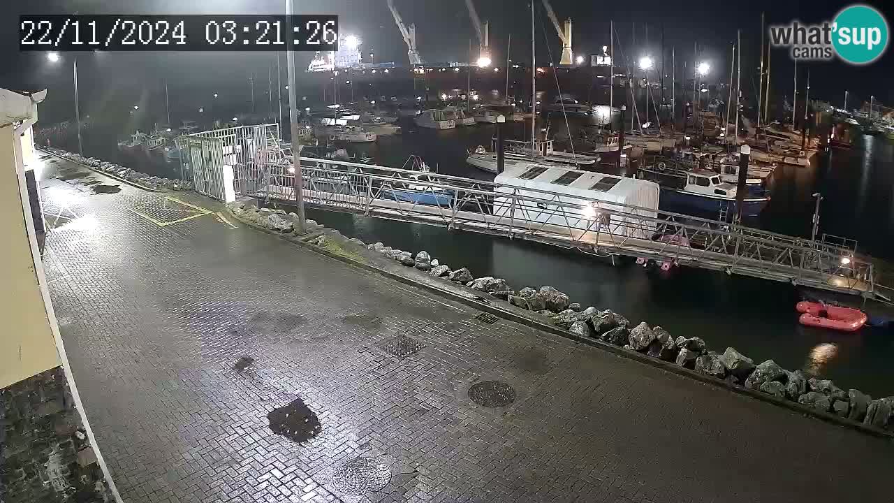 Fenit Marina webcam