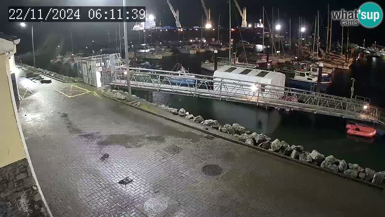 Fenit Marina camera en vivo