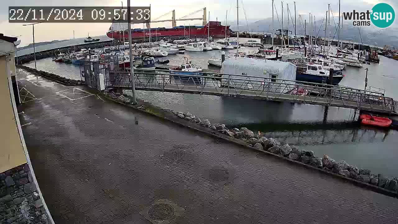 Fenit Marina web kamera