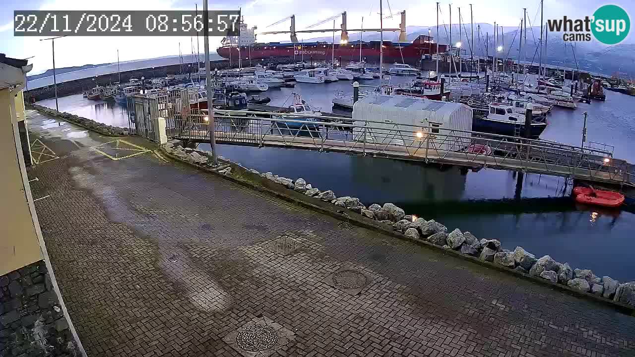 Fenit Marina camera en vivo