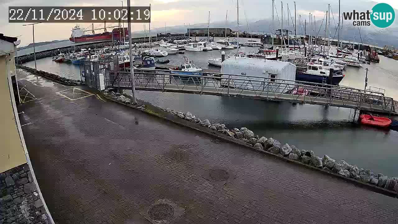 Fenit Marina webcam