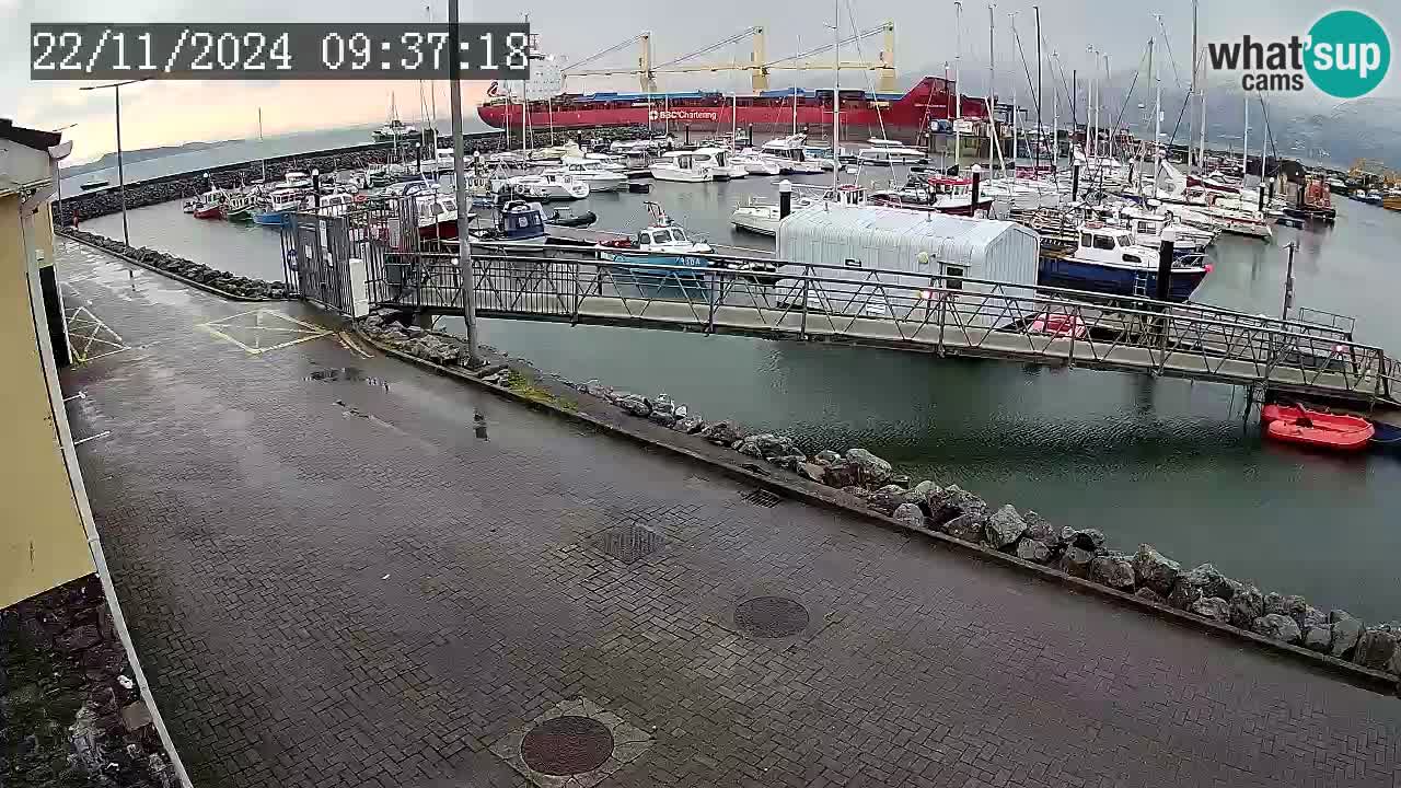 Fenit Marina webcam