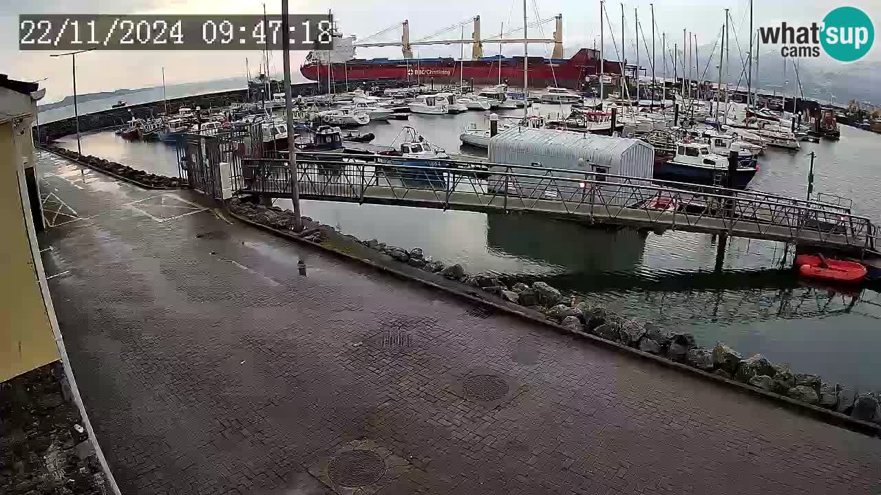 Fenit Marina camera en vivo