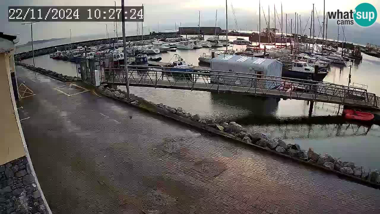 Fenit Marina camera en vivo