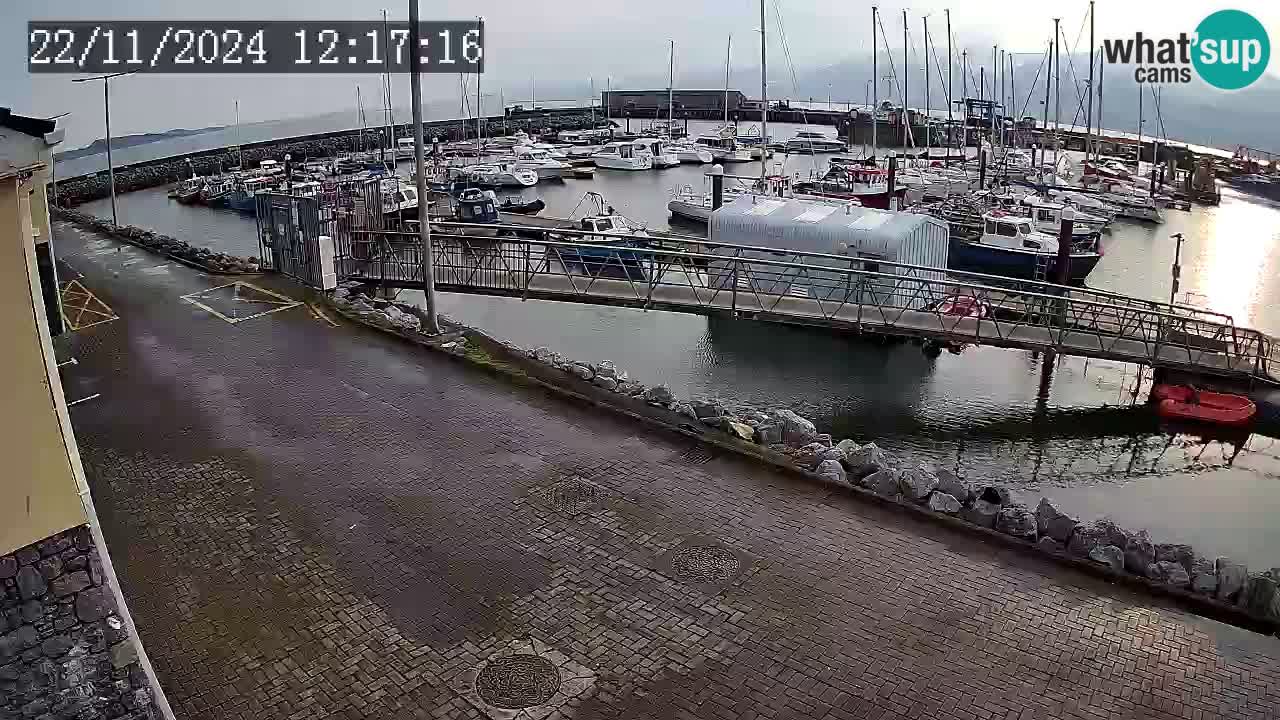 Fenit Marina web kamera