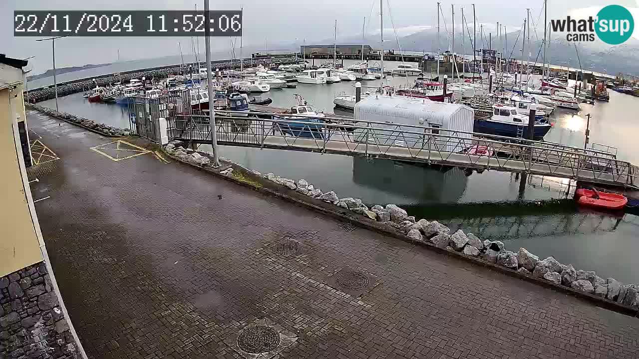 Fenit Marina web kamera