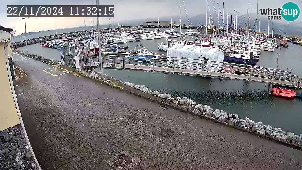 Fenit Marina camera en vivo