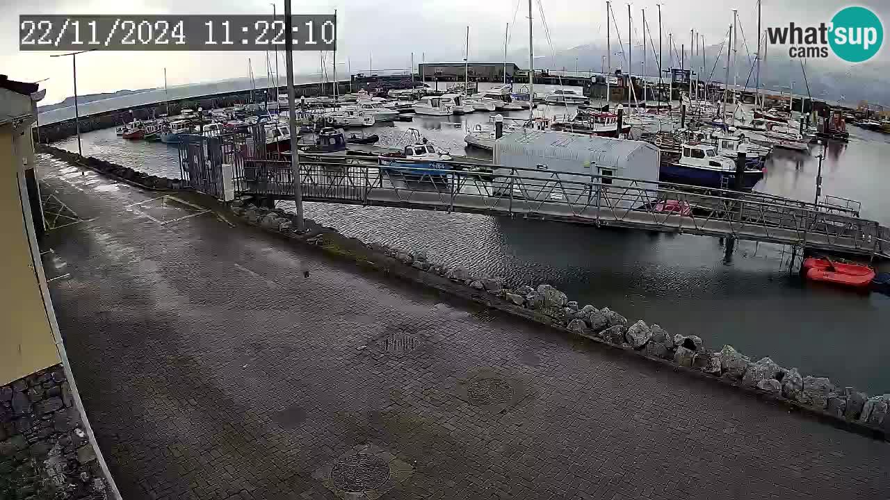 Fenit Marina camera en vivo