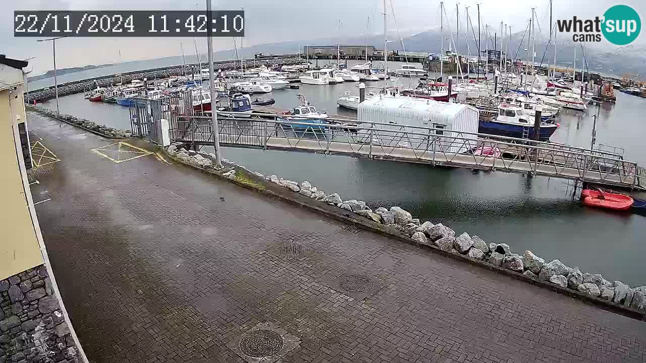 Fenit Marina web kamera