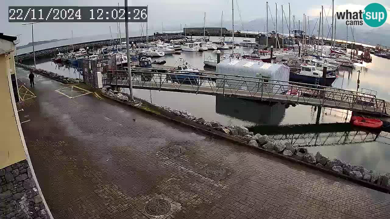 Fenit Marina webcam