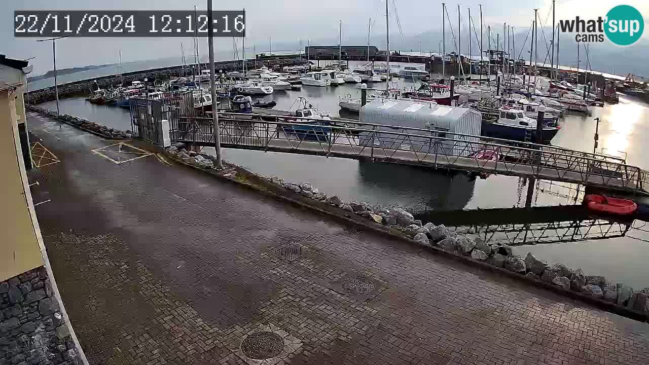 Fenit Marina web kamera