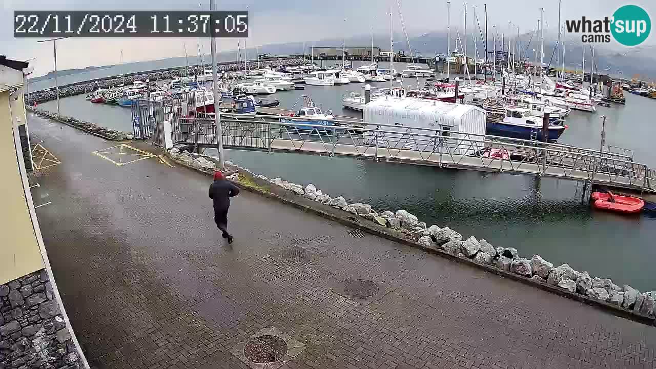 Fenit Marina webcam