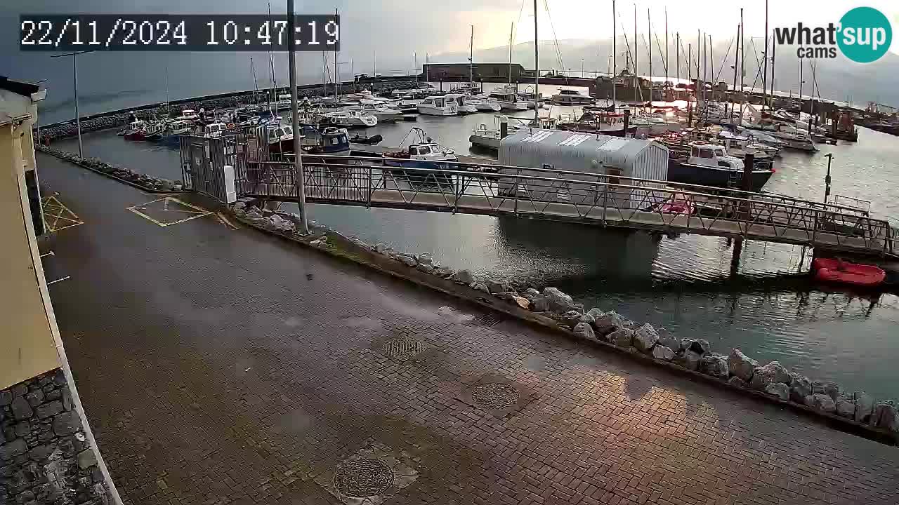 Fenit Marina webcam