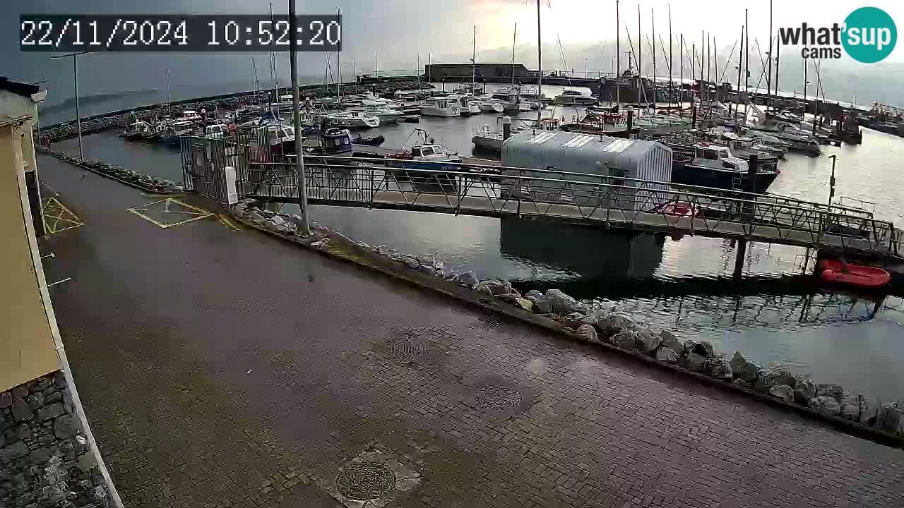 Fenit Marina spletna kamera