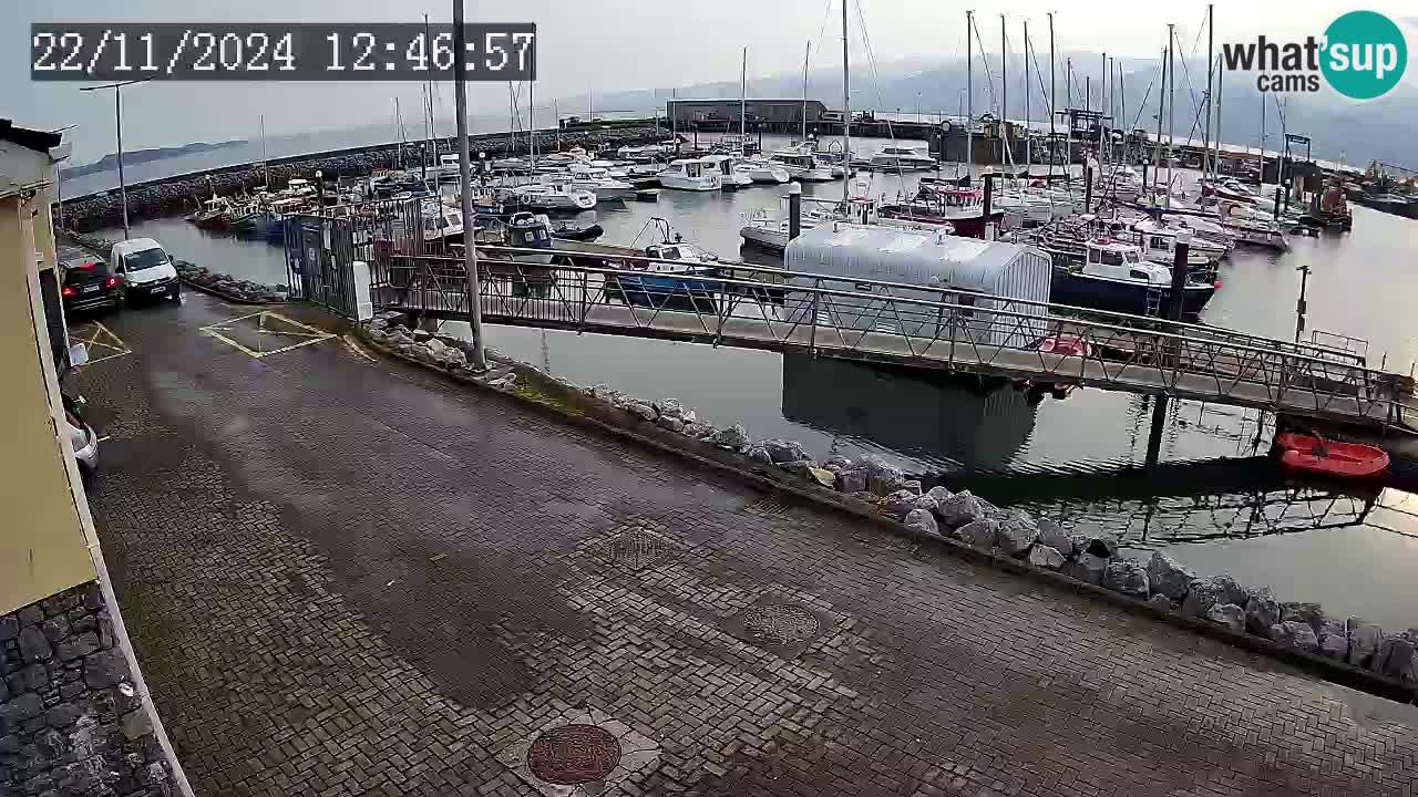 Fenit Marina camera en vivo