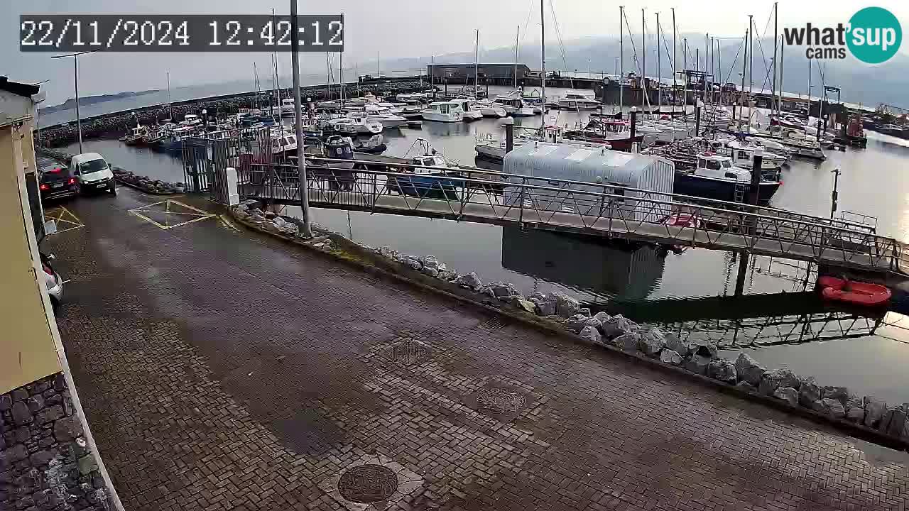 Fenit Marina webcam