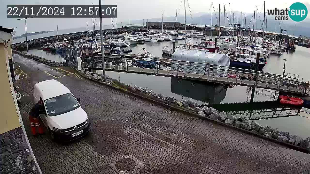 Fenit Marina web kamera