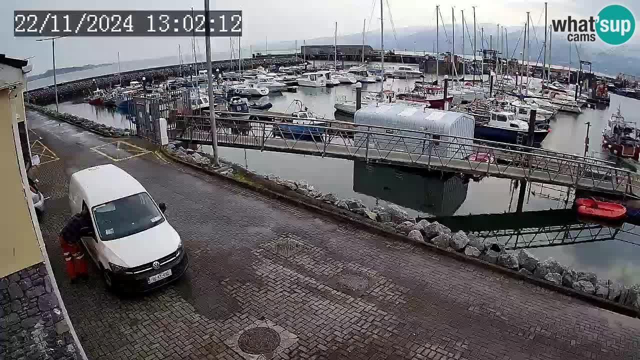 Fenit Marina webcam