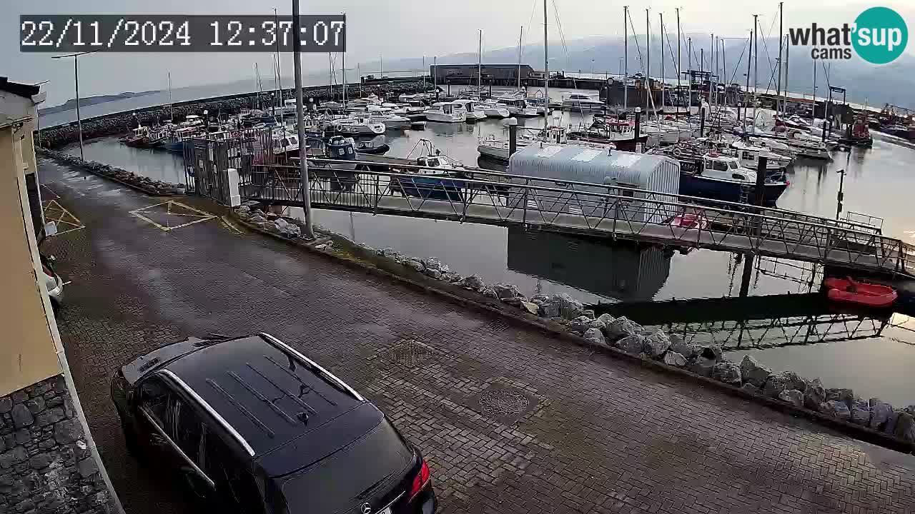 Fenit Marina webcam