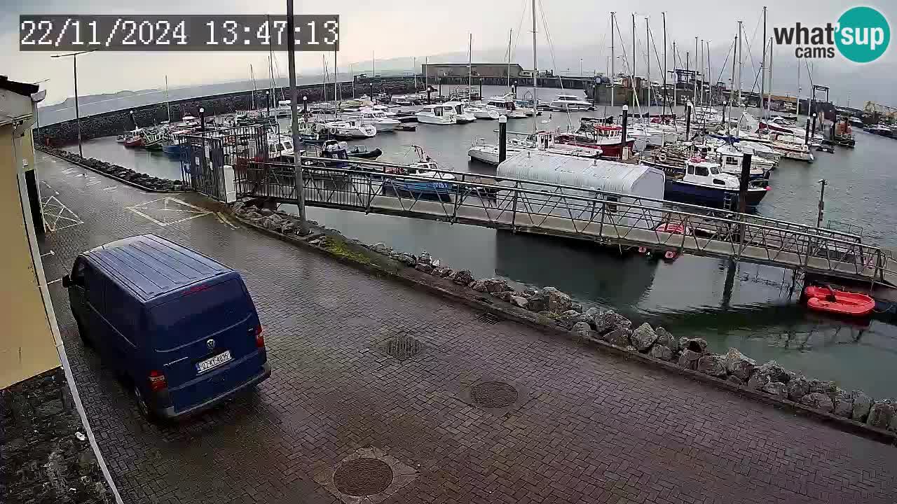 Fenit Marina spletna kamera