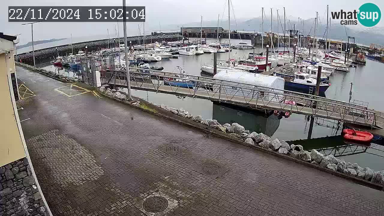 Fenit Marina spletna kamera