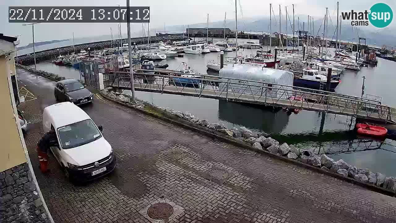 Fenit Marina webcam