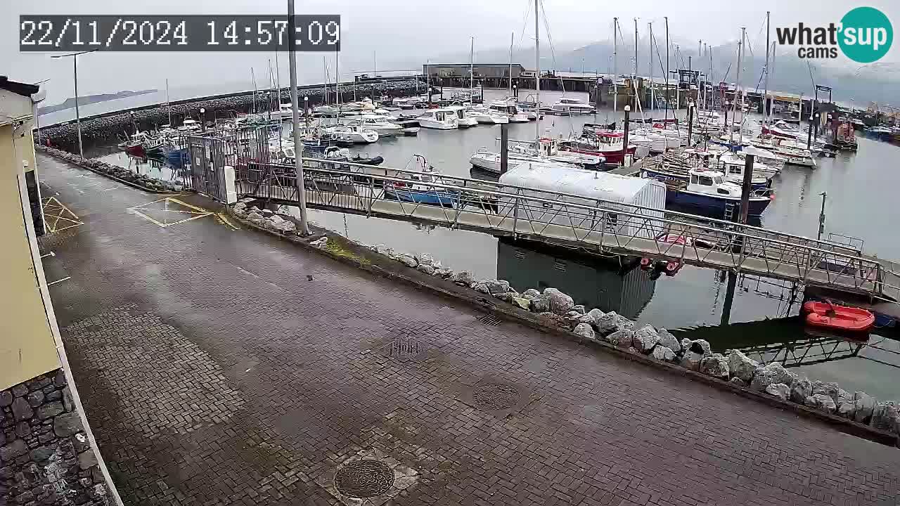 Fenit Marina web kamera