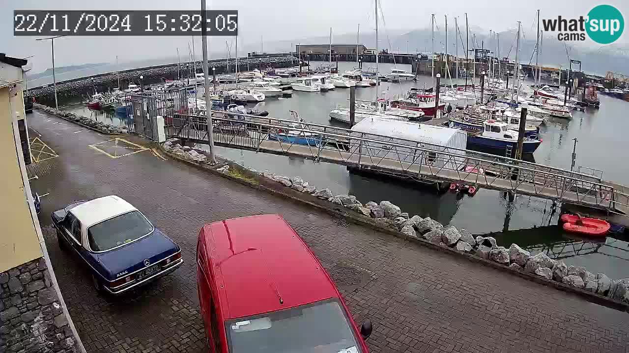 Fenit Marina webcam