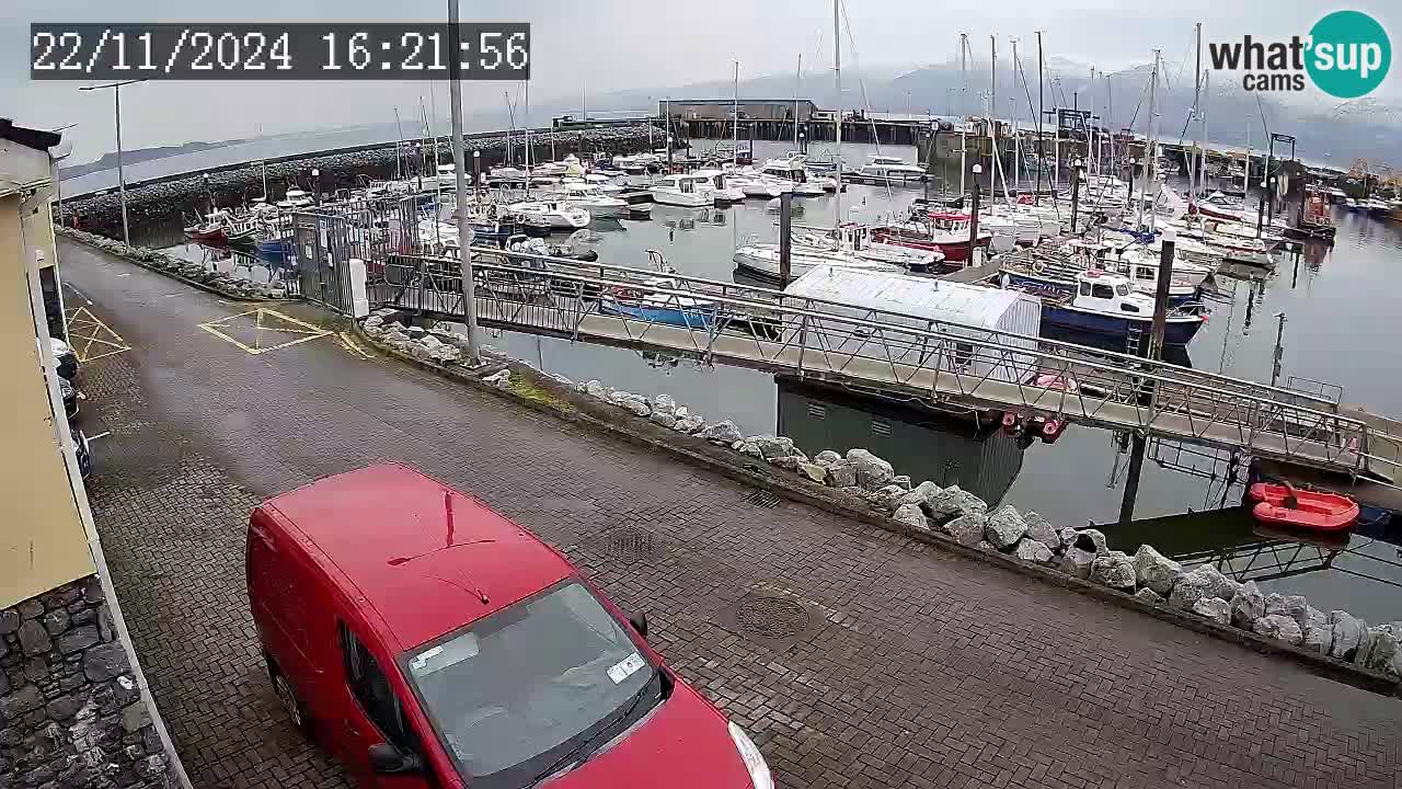 Fenit Marina camera en vivo