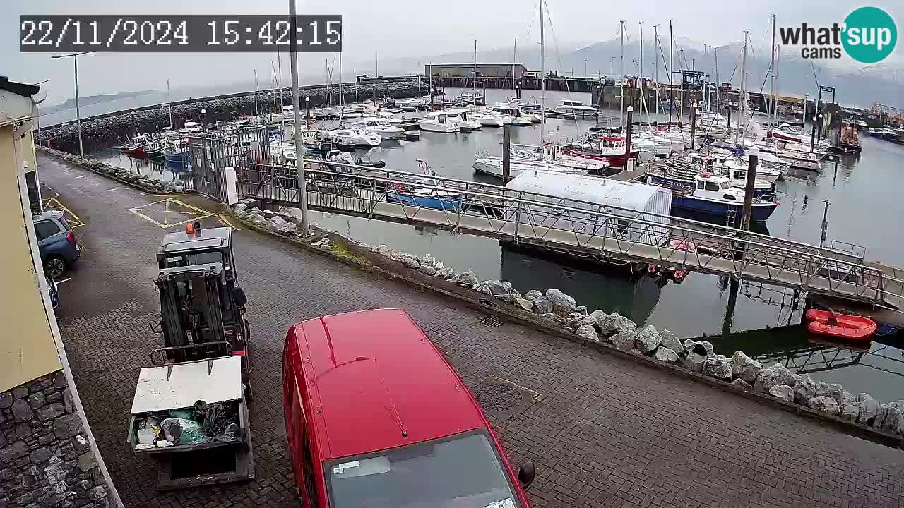 Fenit Marina camera en vivo